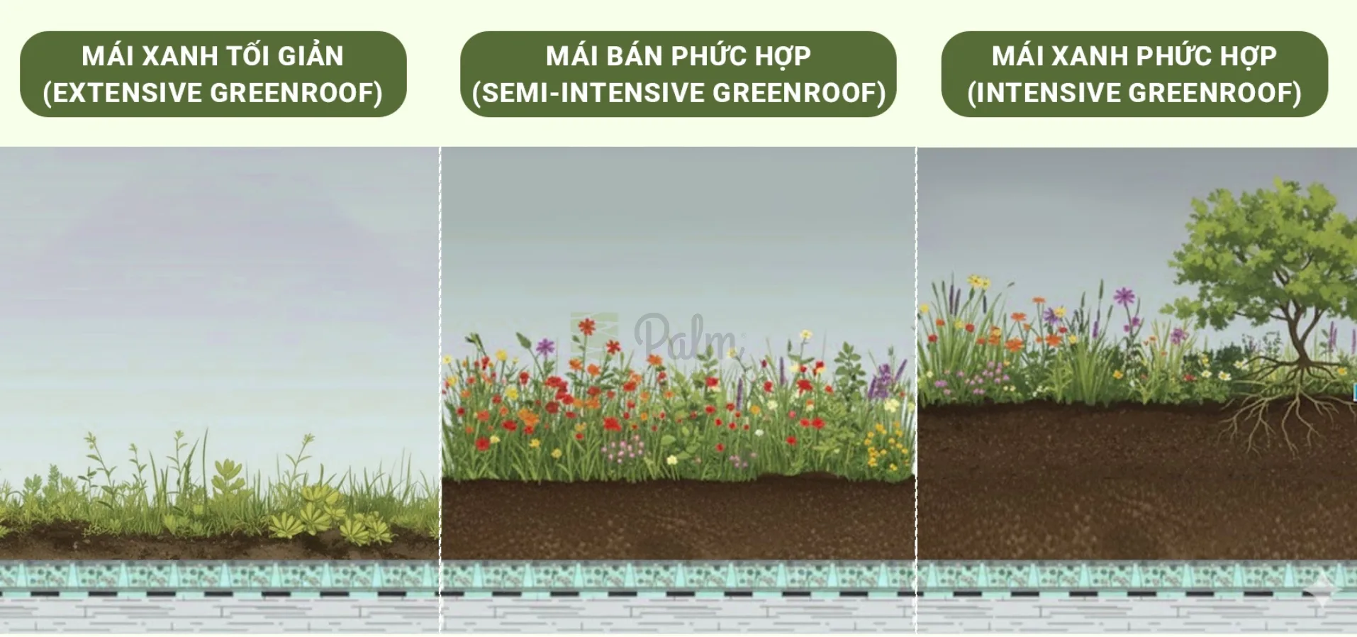 Vườn trên mái là gì? 11 Lợi ích nâng tầm giá trị căn nhà của bạn